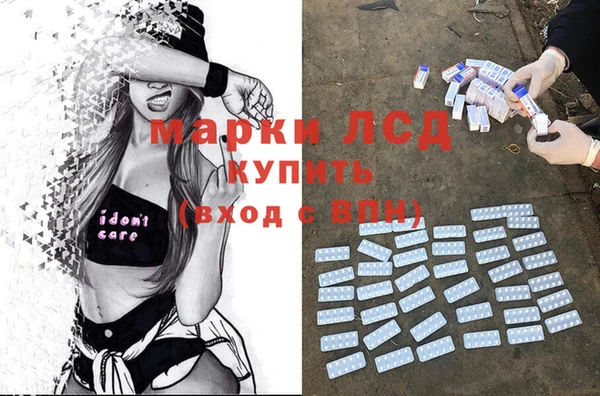 мяу мяу мука Абаза